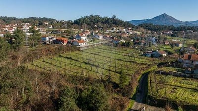 /international/pt/celorico-de-basto-braga-310106288212/