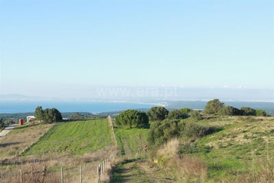 /international/pt/sesimbra-castelo-setubal-municipality-310104946562/