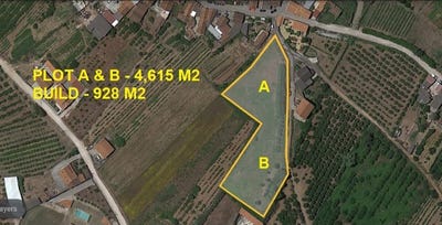 /international/pt/rolica-leiria-310102644245/