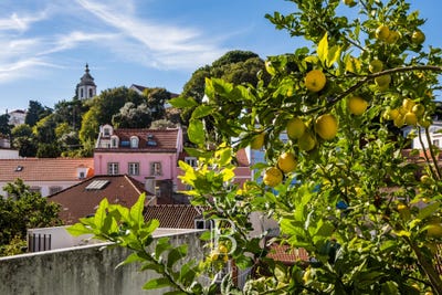 /international/pt/sao-vicente-lisbon-310105716657/