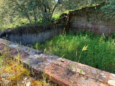 /international/pt/ourique-beja-310107270380/