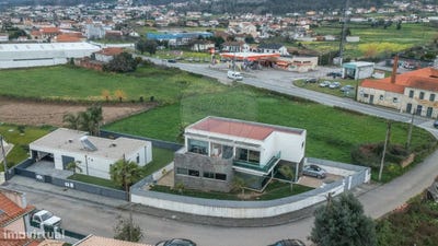/international/pt/branca-faro-310097748745/