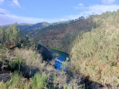 /international/pt/sao-joao-da-serra-viseu-310108553615/