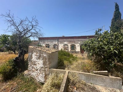/international/pt/loule-sao-clemente-faro-310100742280/
