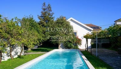 /international/pt/milheiros-porto-310103773188/