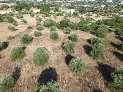 /international/pt/bugalhos-alcanena-santarem-310101337878/?lang=zh-tw