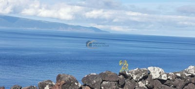 /international/pt/ilha-do-pico-azores-310101018515/?lang=en