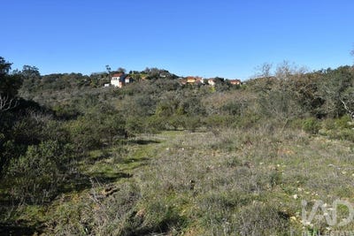 /international/pt/santarem-santarem-310108180194/
