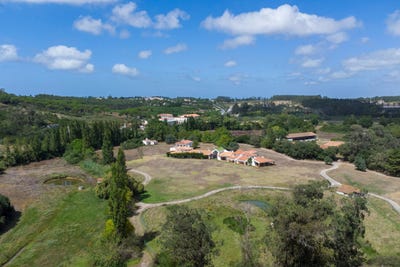 /international/pt/10-estr-principal-obidos-leiria-310096090308/