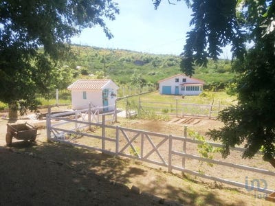/international/pt/oliveira-do-hospital-e-sao-paio-de-gramacos-coimbra-310104570899/