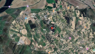 /international/pt/pinhal-dos-mouros-foros-de-salvaterra-s-n-salvaterra-de-magos-santarem-310108182469/