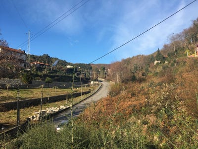 /international/pt/lugar-de-airo-cantelaes-braga-310105186791/