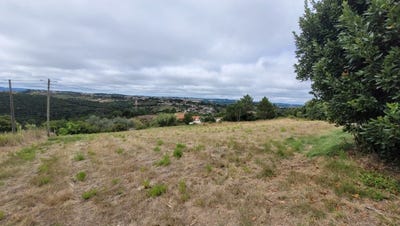 /international/pt/vidais-leiria-310101322844/?lang=zh-cn