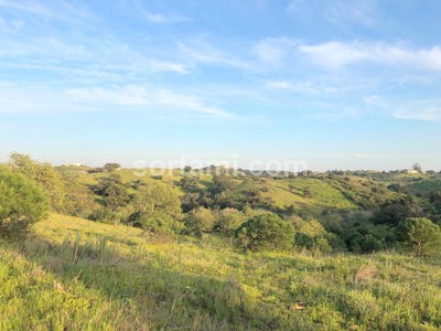 /international/pt/castro-marim-faro-310107215319/
