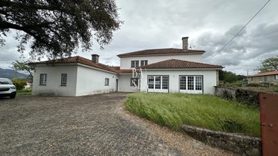 /international/pt/barbeita-viana-do-castelo-310105072176/