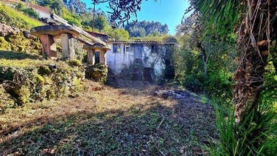 /international/pt/vieira-do-minho-braga-310106287076/