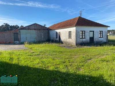 /international/pt/ovar-aveiro-310105649038/