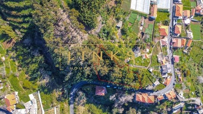 /international/pt/estreito-de-camara-de-lobos-madeira-310107950632/
