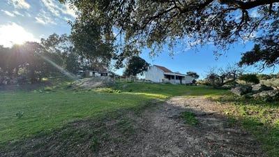 /international/pt/vjqq-c8-mata-portugal-escalos-de-baixo-castelo-branco-310107088867/