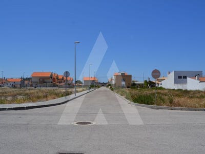 /international/pt/sao-jacinto-aveiro-310100272701/