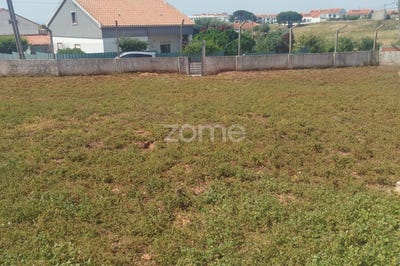 /international/pt/sesimbra-setubal-municipality-310108307164/