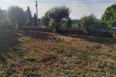 /international/pt/mangualde-viseu-310101324456/?lang=zh-cn
