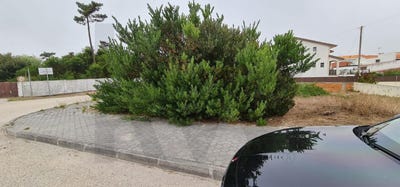 /international/pt/sao-jacinto-aveiro-310105759131/
