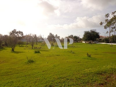 /international/pt/almancil-faro-310107671800/