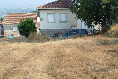 /international/pt/mangualde-viseu-310101879521/