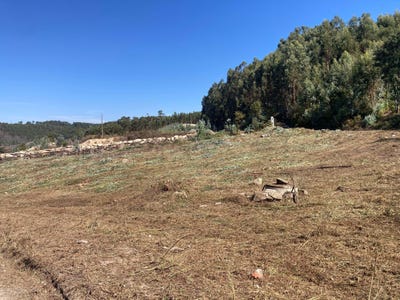 /international/pt/monte-de-alem-aptd-45-cabeca-santa-porto-4575-portugal-cabeca-santa-porto-310102702145/