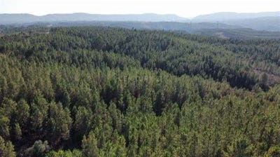 /international/pt/p8vx-wf-sarnadas-de-rodao-portugal-sarnadas-de-rodao-castelo-branco-310107010089/