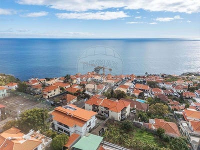 /international/pt/sao-goncalo-madeira-310108264958/