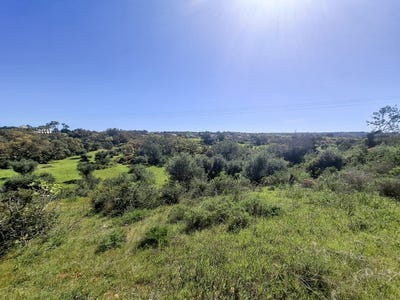 /international/pt/albufeira-faro-310107369327/