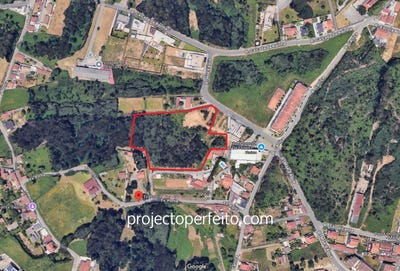 /international/pt/grijo-porto-310097800320/