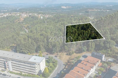 /international/pt/vila-nova-de-gaia-porto-310101948137/