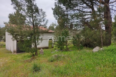 /international/pt/nelas-viseu-120091308760/?lang=zh-tw
