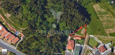 /international/pt/sanguedo-santa-maria-da-feira-aveiro-310103458450/