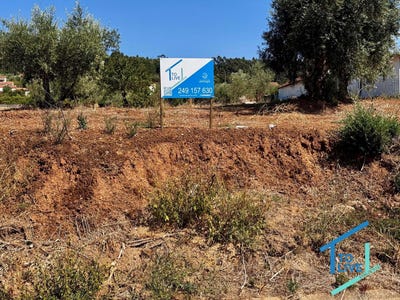 /international/pt/ferreira-do-zezere-santarem-310103583361/