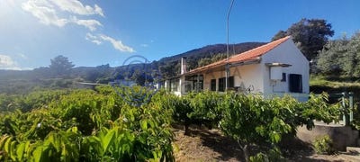 /international/pt/vale-de-prazeres-castelo-branco-310108263910/