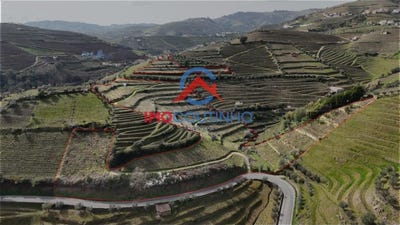 /international/pt/sever-viseu-310109014946/