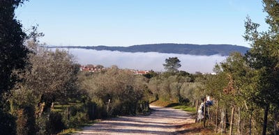 /international/pt/borba-evora-310106773629/