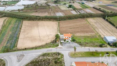 /international/pt/leiria-leiria-310103746915/