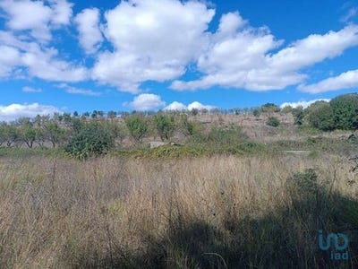 /international/pt/mogadouro-braganca-310100877715/