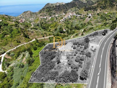/international/pt/machico-madeira-310101879564/