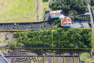 /international/pt/sao-roque-do-pico-azores-310105100778/