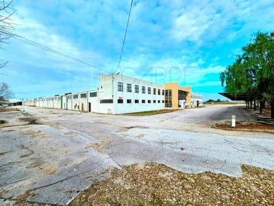 /international/pt/zona-industrial-de-torres-novas-torres-novas-santarem-310105347936/