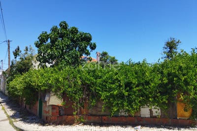 /international/pt/moita-setubal-municipality-120089061597/