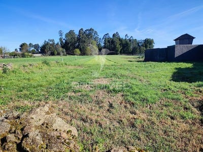 /international/pt/pedroso-e-seixezelo-vila-nova-de-gaia-porto-310095140450/