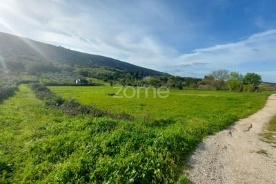 /international/pt/porto-de-mos-leiria-310097152109/