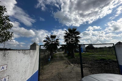 /international/pt/vidigueira-aveiro-310097672467/